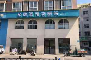 2026年手术术后护理好的宠物医院推荐：瑞派小俏皮