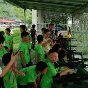 2026年河南游乐射击气炮厂家推荐:专业制造与方案设计