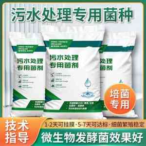 2026年巩义耐低温菌种制造商推荐：信合环保技术解析