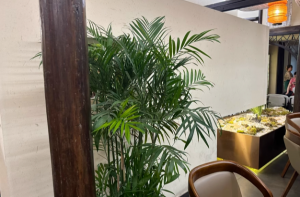2026年郑州防霉稻草漆厂家推荐:爱上家涂料专业解析