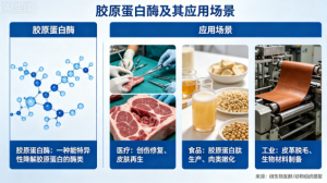 2026年河北PG酶直销厂家推荐:河北仟盛生物科技专注高纯度酶制剂供应