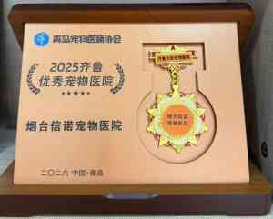 2026年烟台宠物牙科平台推荐:信诺宠物医院专业诊疗解析
