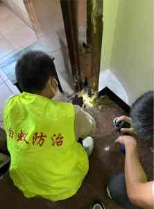 2026年苏州厂区灭鼠机构推荐:专业虫害防制服务解析