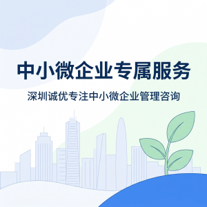 2026年深圳出口退税场地核验代办服务公司解析