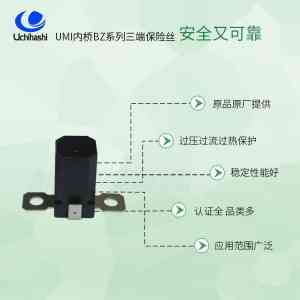 2026年惠州UPS三端保险丝直销厂家推荐