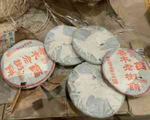 2026年广东老茶试饮供货商推荐：大观茶业品鉴交易服务
