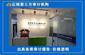 2026年武汉第三方审计机构推荐:专业审计服务与实战案例解析