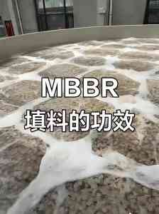 2026年轻质悬浮MBBR填料订制厂家推荐:郑州源佳环保科技专注高效生物膜技术
