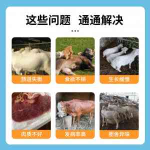 2026年生物发酵菌剂源头厂家推荐:超级菌王技术解析