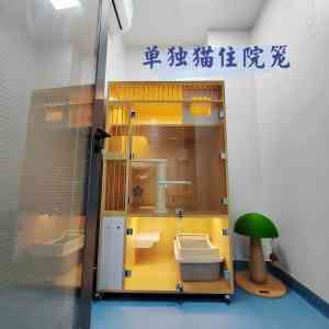 2026年深圳24小时宠物医院连锁门店推荐：瑞派派特堡同步宠物医院解析