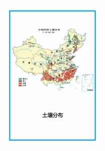 2026年河南塑化标本生产厂家推荐:恒之奇实业技术解析