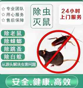 2026年南通灭苍蝇服务部精选：专业虫害防治机构深度解析