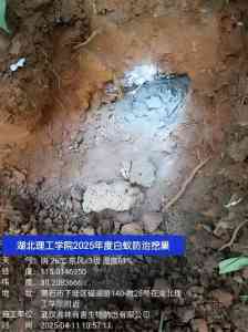 2026年武汉虫害预防企业深度解析:专业有害生物防治服务