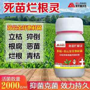 2026年河南果树根腐克星服务商:河南好美特生物科技有限公司