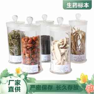 2026年河南中药植物腊叶标本中药器具厂家解析