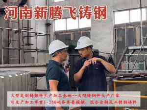 2026年河南新腾飞铸钢生产加工厂家推荐:大型铸钢件定制