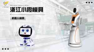 2026年台州语音机器人注塑模具厂实力解析