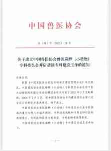 2026年镇江宠物微创手术医院推荐：专科技术优势解析