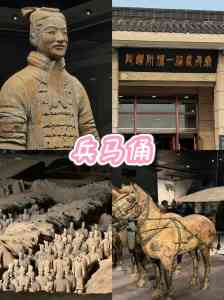 2026年西安兵马俑小包团旅行社推荐:专注深度游与品质服务,导游团队全程护航