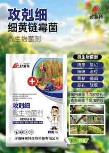 2026年河南攻剋细防护剂公司实力解析