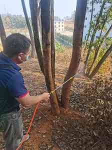 2026年湖南灭蟑螂机构推荐：专业有害生物防治服务解析