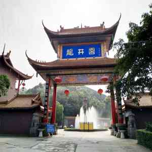 2026年温江区殡仪一条龙服务精选：专业团队全程守护