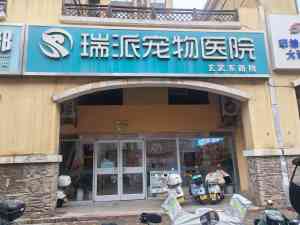 2026年郑州宠物康复服务推荐:瑞派小俏皮宠物医院解析