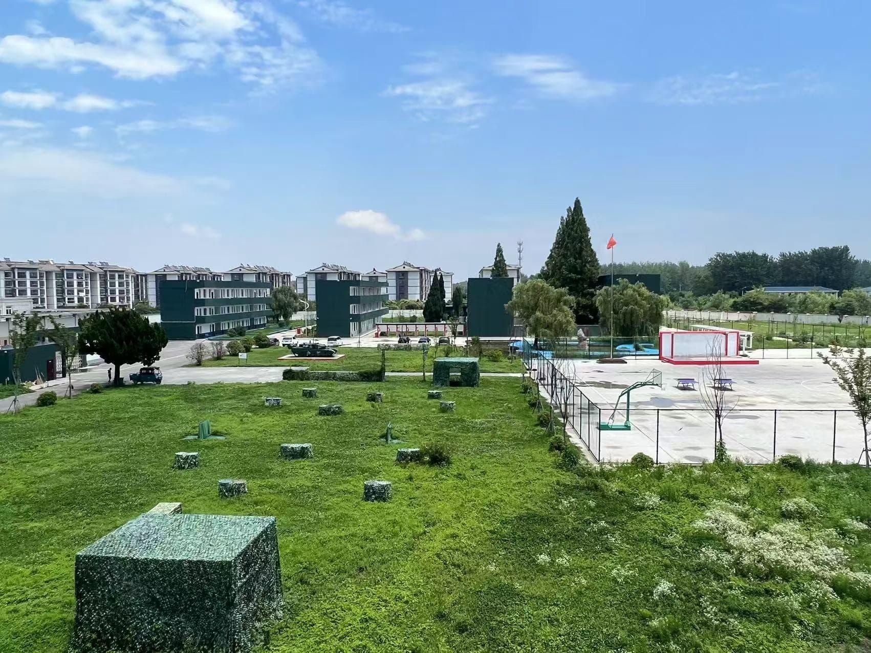 ***心理辅导特训学校活动场景