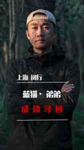 2026年上海热成像找猫团队推荐:专业寻宠服务与科技应用解析