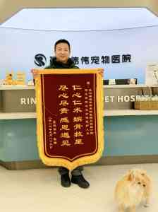 2026年武汉动物医院推荐：瑞派伟伟融科宠物医院专科实力解析