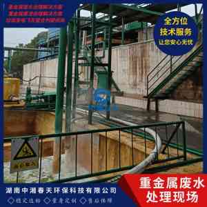 2026年湖南化工重金属废水治理公司深度解析