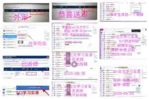 2026年生存分析辅导服务深度解析:从科研选题到录用全程规划