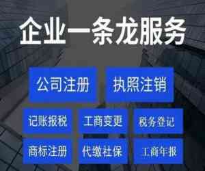2026年公司注册服务推荐:蚂蚁智企控股集团专业解析
