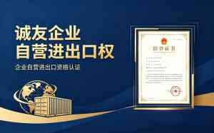 2026年镇江公司办理自营进出口权服务商推荐