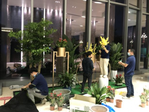 2026年广州绿植租赁门店推荐：专业服务商护航办公绿色空间