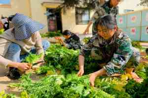 2026年昆明叛逆管教少年服务深度解析：专业特色与成效