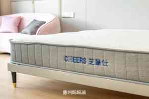 2026年惠州月子中心护理推荐:专业团队与贴心服务详解