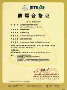 2026年上海WSP-RT50脉冲阀销售厂家解析