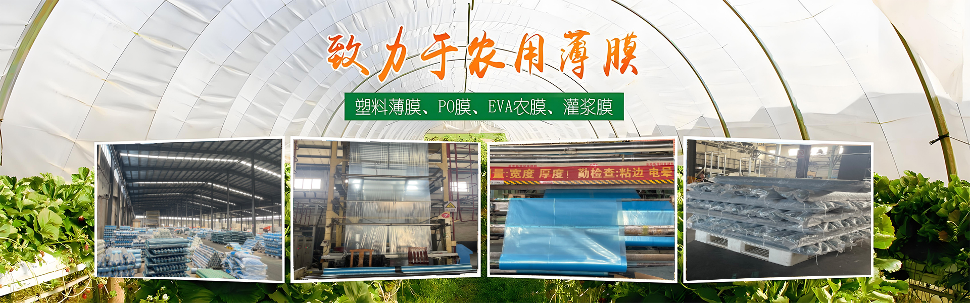 昌乐县祥光农膜制品..