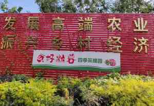 2026年树莓种苗研发与销售厂家推荐：云南好粒莓生物企业解析