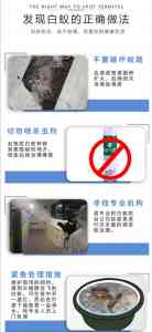2026年福建本地除白蚁服务公司深度解析