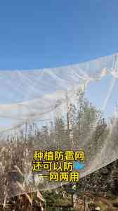 2026年滨州菜园防雹网厂家推荐:专业防护网源头供应商解析