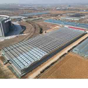 2026年青州连栋玻璃温室实力厂家推荐:顺祥温室工程品质解析
