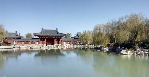 2026年泰安旅游报团咨询推荐:本土旅行社深度解析
