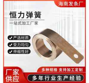 2026年耐磨恒力弹簧工厂推荐:南通科立佳源头厂家解析