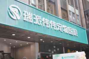 2026年武汉宠物医院推荐：瑞派伟伟融科专科诊疗解析