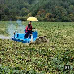 2026年水草割草船企业推荐:青州科大环保机械精准解析