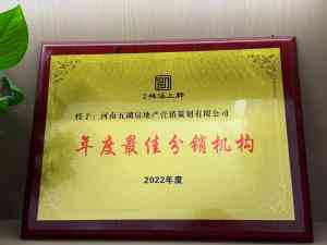 2026年河南港区房产流通服务公司推荐：五湖房产·熊猫莎莎品牌解读