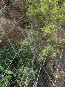 2026年河北SPIDER绞索网制造厂家推荐:源头实体工厂解析