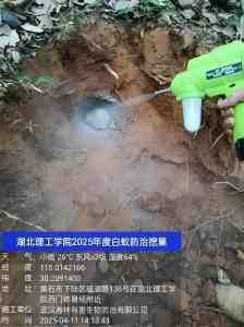2026年武汉虫害源头根治公司推荐:专业有害生物防治服务解析